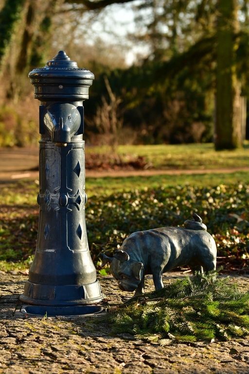 2026-01-08 Brandenburg an der Havel/Waldmöpse/DSC_2371.JPG